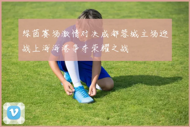 绿茵赛场激情对决成都蓉城主场迎战上海海港争夺荣耀之战