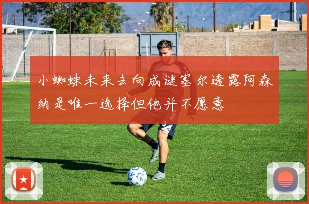 小蜘蛛未来去向成谜塞尔透露阿森纳是唯一选择但他并不愿意